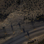 Un grupo de vicuñas (Vicugna vicugna) se alimenta y se desplaza entre los bofedales a más de 4.600 m s. n. m. Créditos Tamara Merino/ UNESCO.