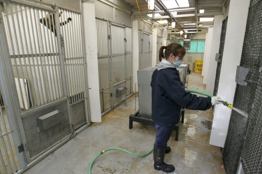 The Alpha Genesis facility in South Carolina holds 7,000 monkeys. Photographer- Alan Hawes:The Post and Courier