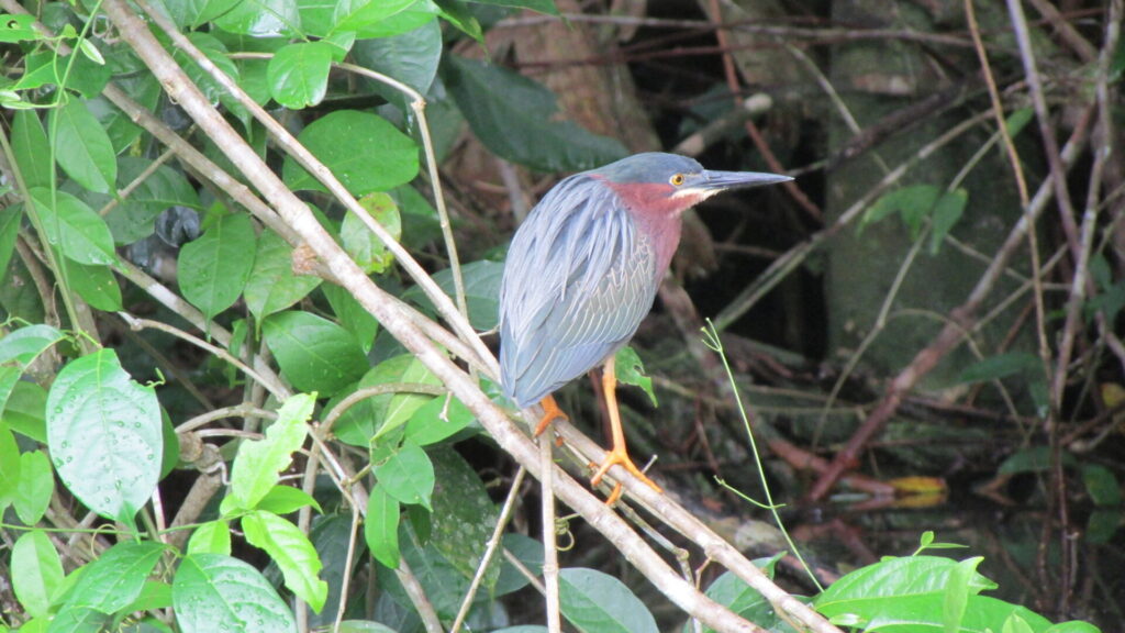 Foto Bárbara Tupper