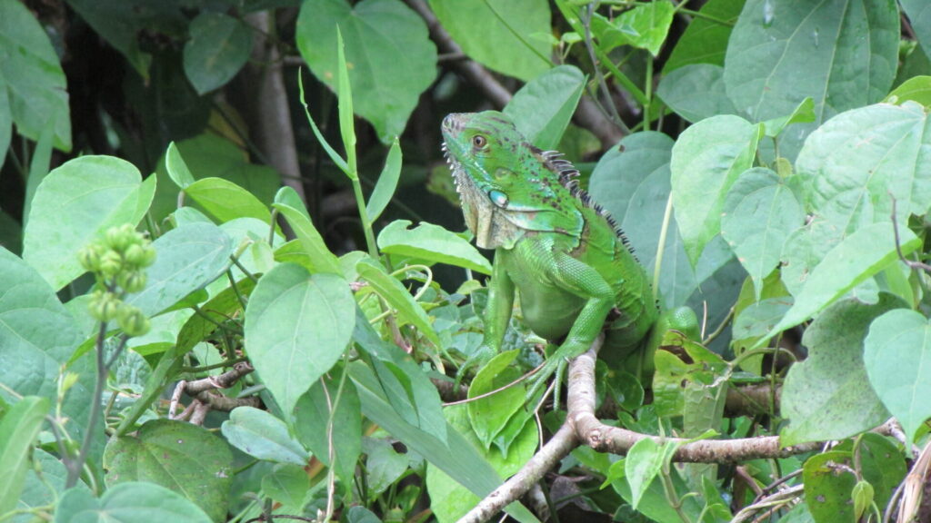 Foto Bárbara Tupper