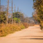 foto de Annais Pascual