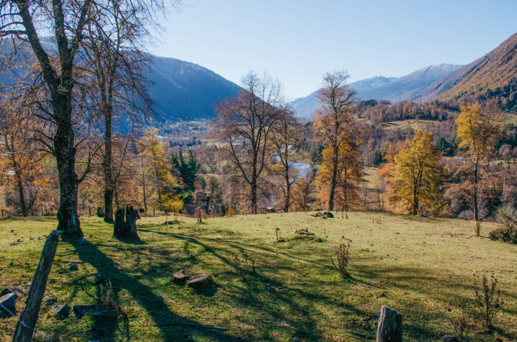 Foto por Rodrigo Hermosilla