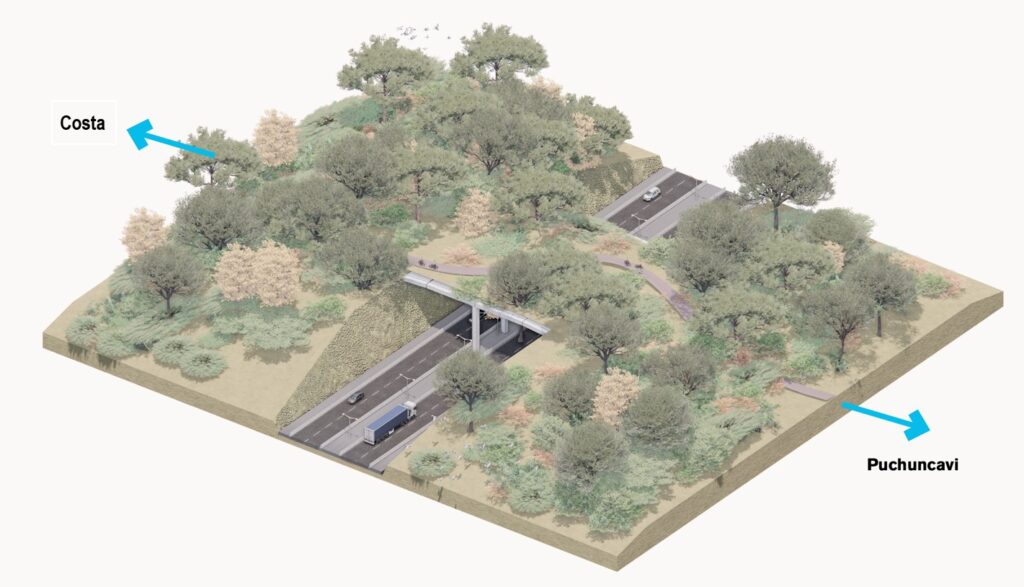 bosquejo del puente verde para animales silvestres y peatones