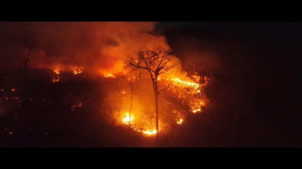 Extracción ilegal de oro, incendios y deforestación. Imagen © Malaika Pictures.