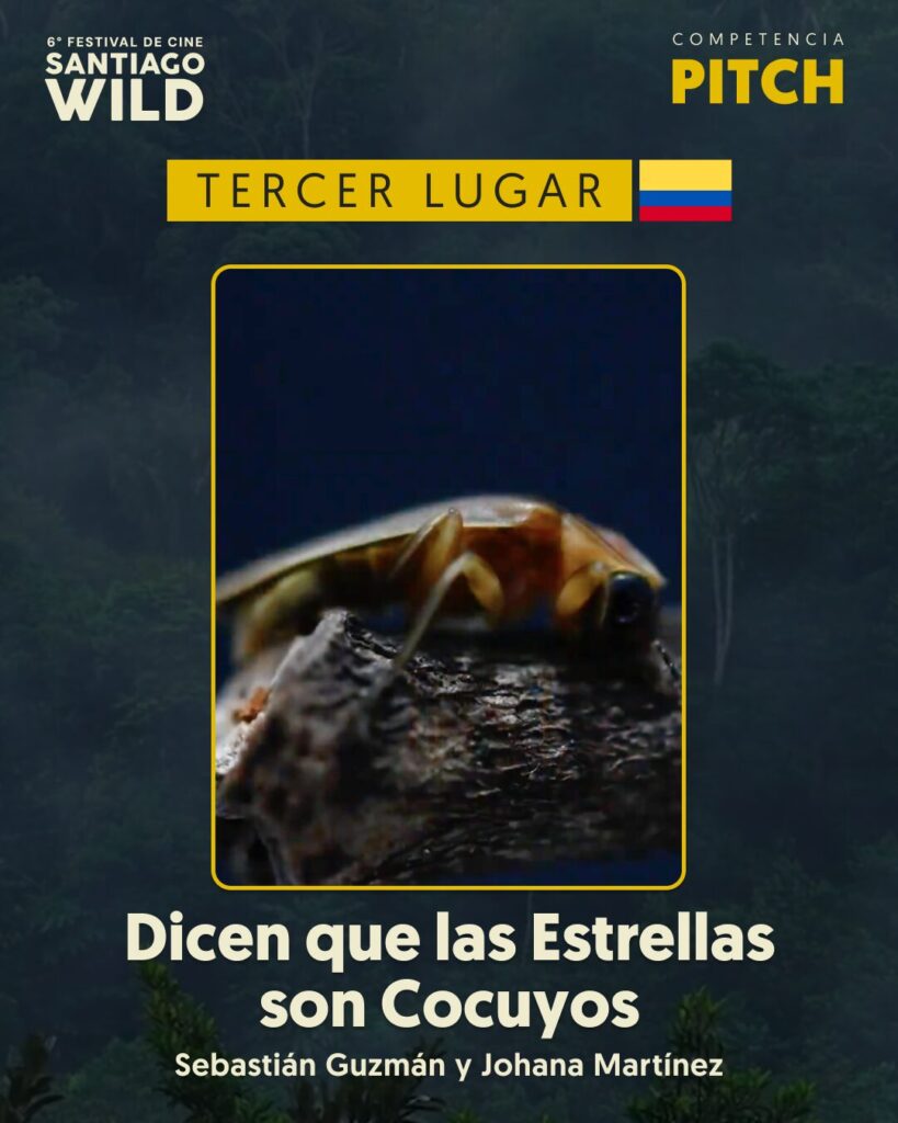 Competencia de Pitch, presentada por primera vez en Santiago Wild.