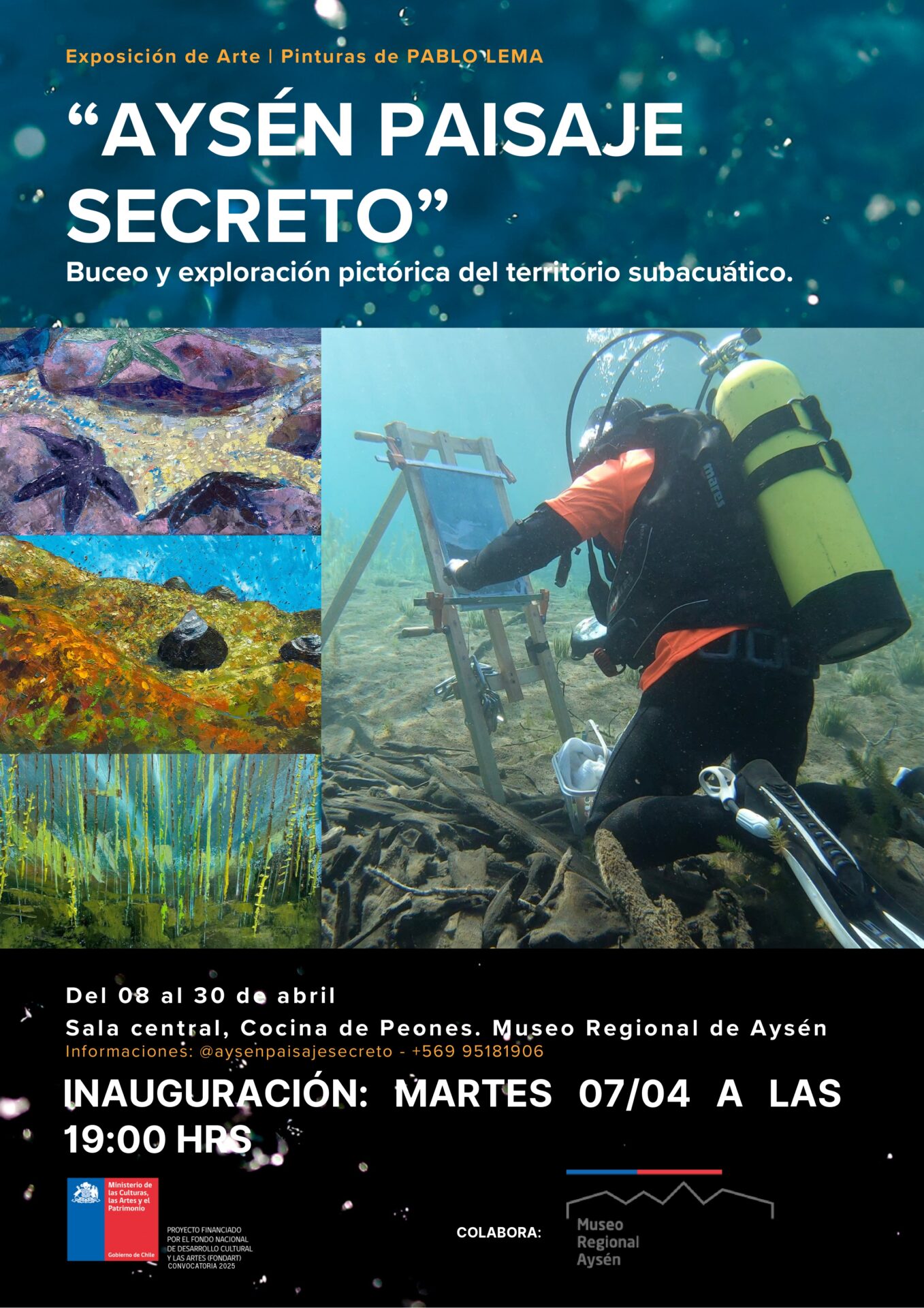 “Aysén Paisaje Secreto”: El proyecto que busca retratar el mundo submarino austral a través de pintura bajo el agua