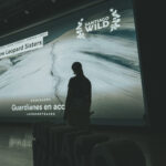 Santiago Wild 2026, Créditos: Juan Croxatto