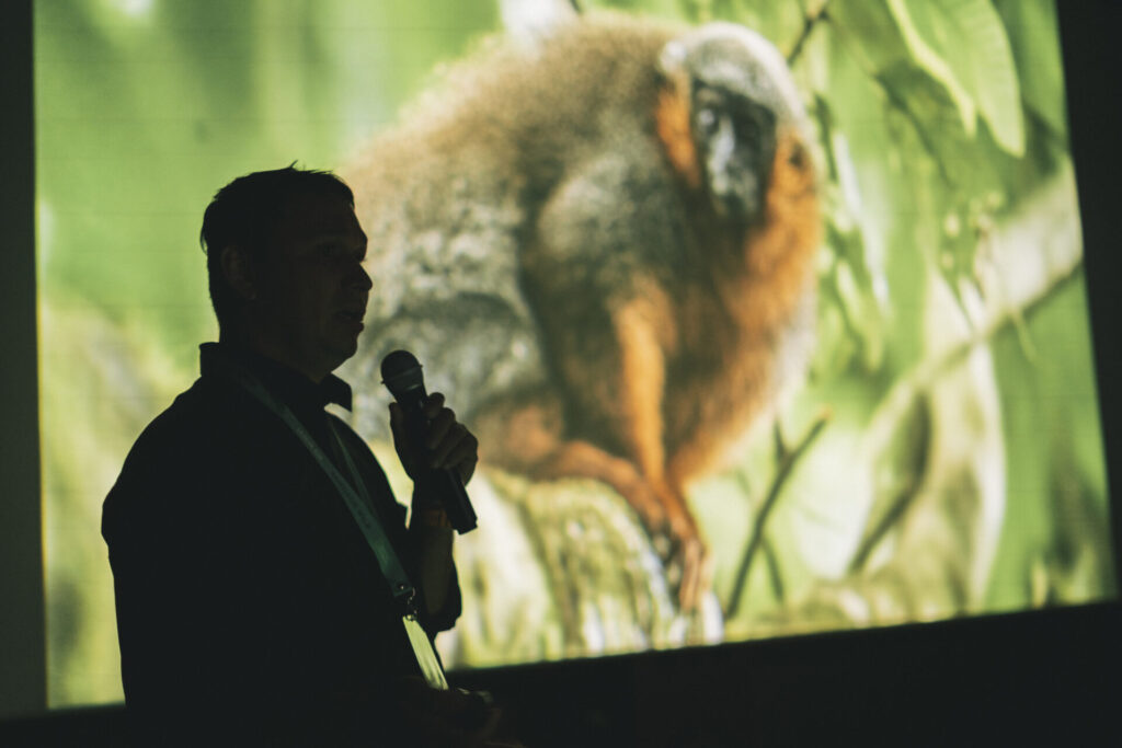 Santiago Wild 2026, Créditos: Juan Croxatto