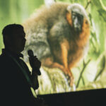 Santiago Wild 2026, Créditos: Juan Croxatto
