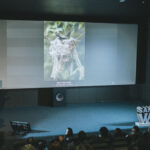 Santiago Wild 2026, Créditos: Juan Croxatto