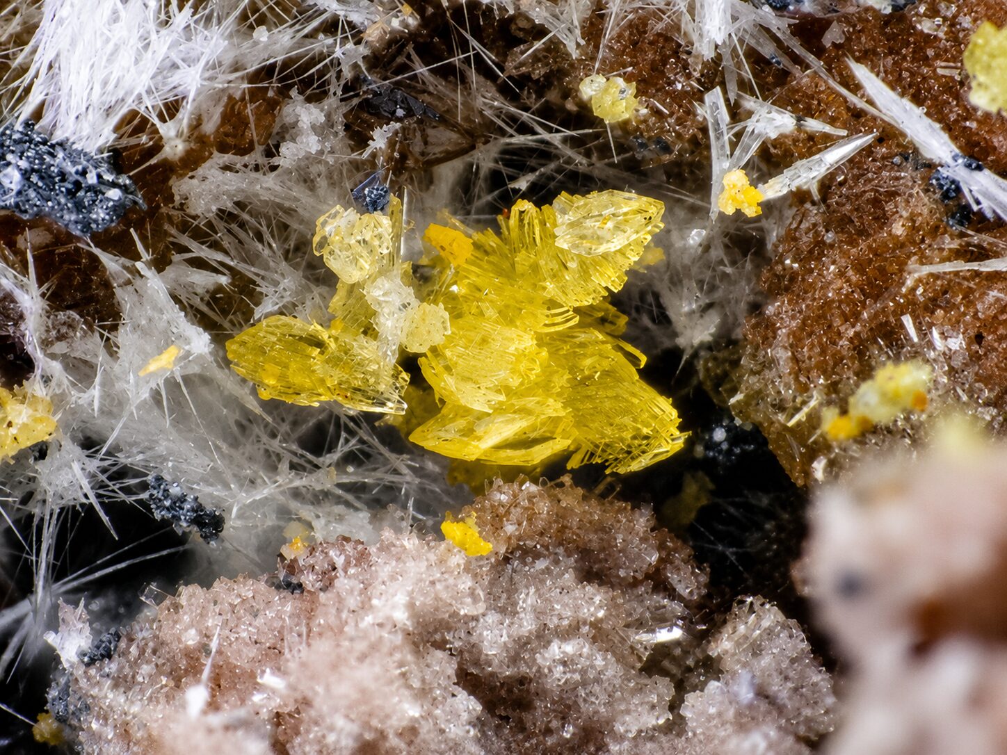 Un patrimonio oculto bajo la superficie: Descubriendo 10 especies minerales emblemáticas de Chile