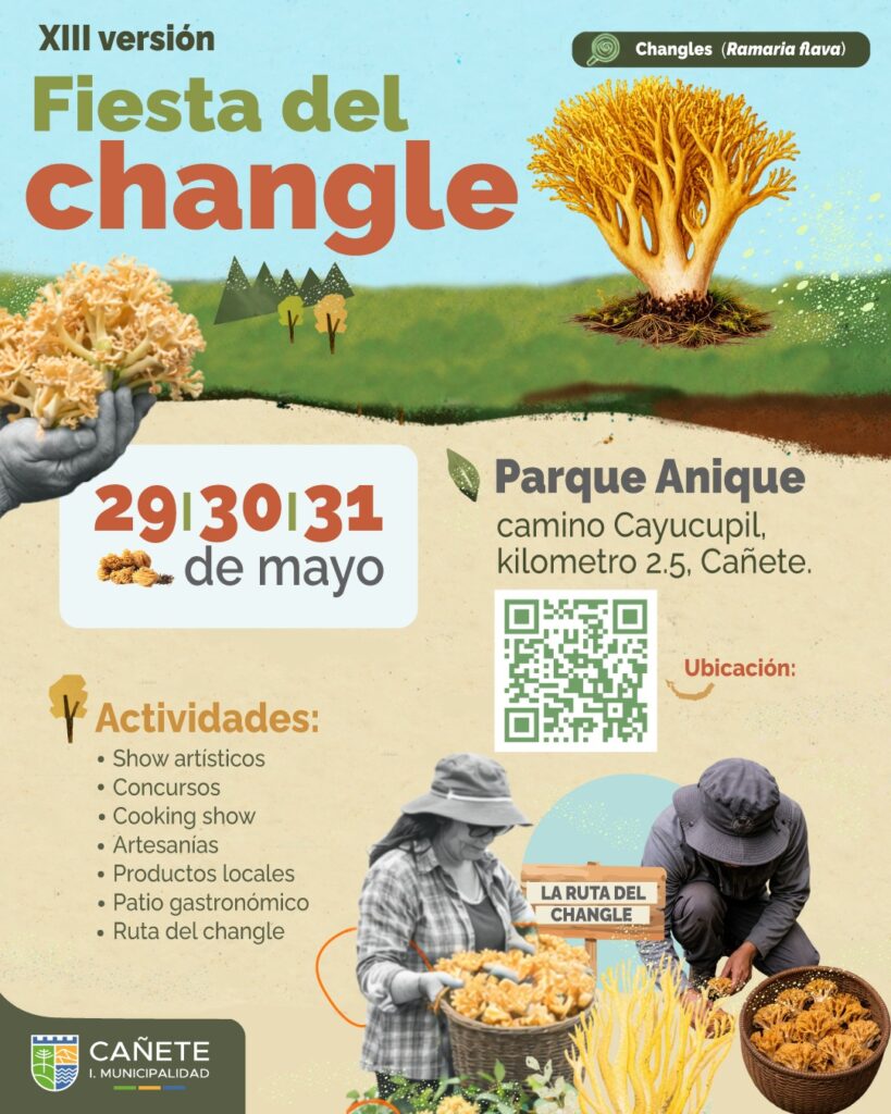 XIII Fiesta del Changle, foto Municipalidad de Cañete