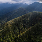 foto cortesía de Diego Pérez Romero