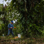 foto cortesía de Diego Pérez Romero