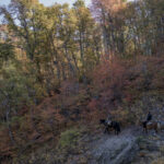 Fotos Otoño en Cuenca Andina Tomás Munita