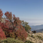 Fotos Otoño en Cuenca Andina Tomás Munita