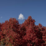 Fotos Otoño en Cuenca Andina Tomás Munita