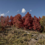 Fotos Otoño en Cuenca Andina Tomás Munita