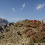 Fotos Otoño en Cuenca Andina Tomás Munita