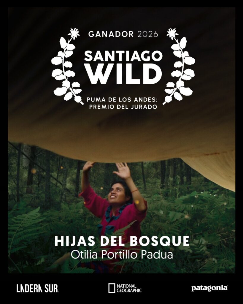 Ganador de Santiago Wild 2026.