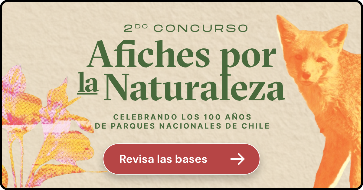segundo concurso afiches por la naturaleza