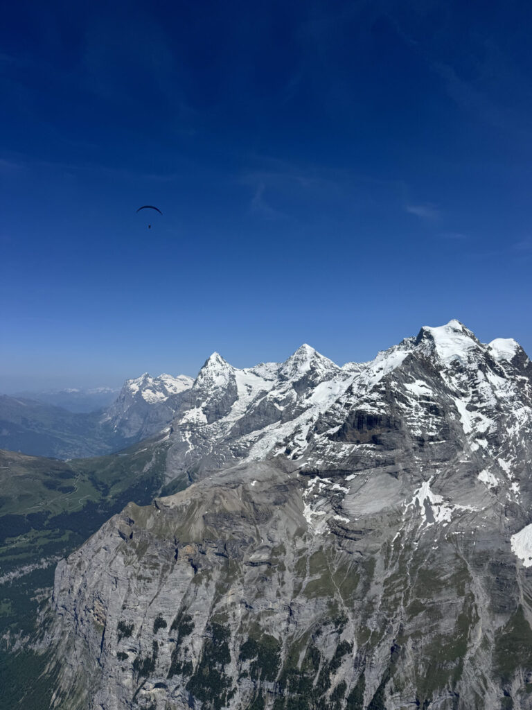 Foto aérea. Créditos: Lene Spaarwater