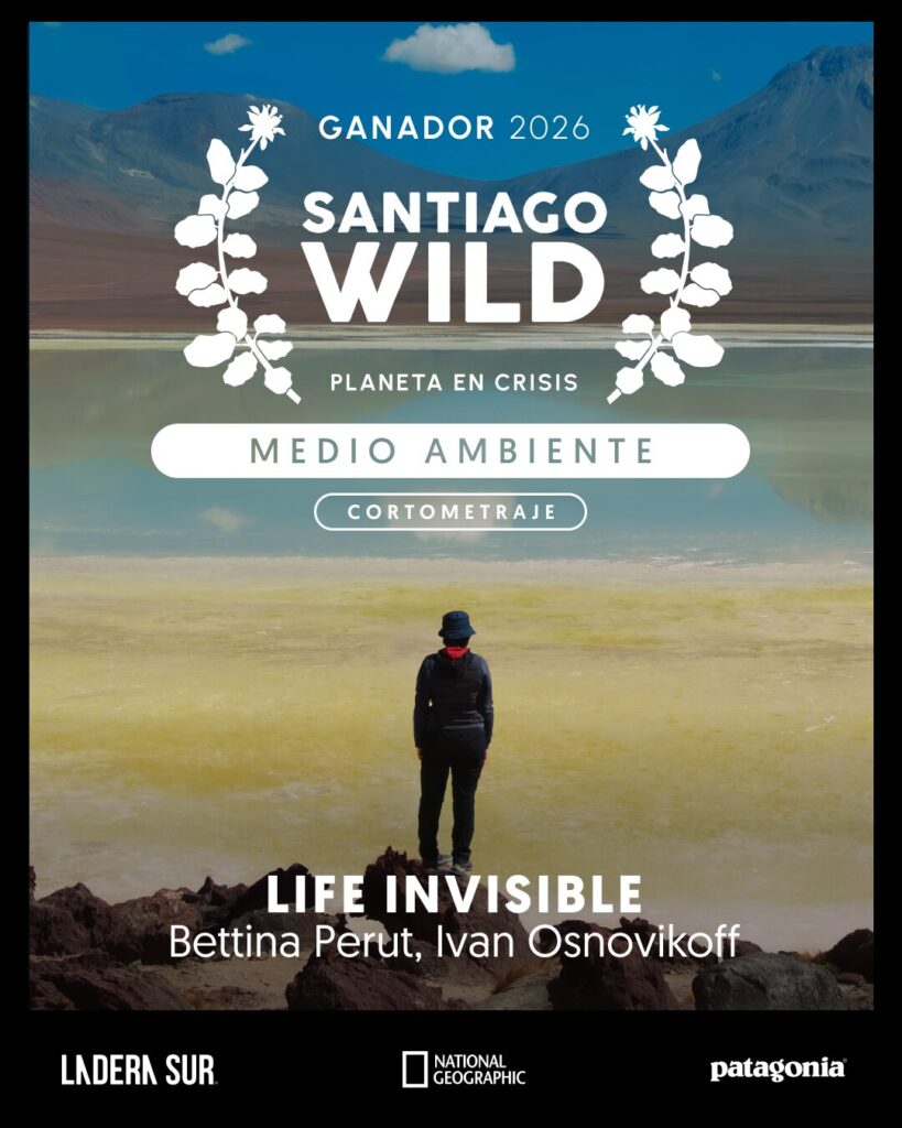 Ganador de Santiago Wild 2026.