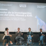 Santiago Wild 2026, Créditos: Juan Croxatto