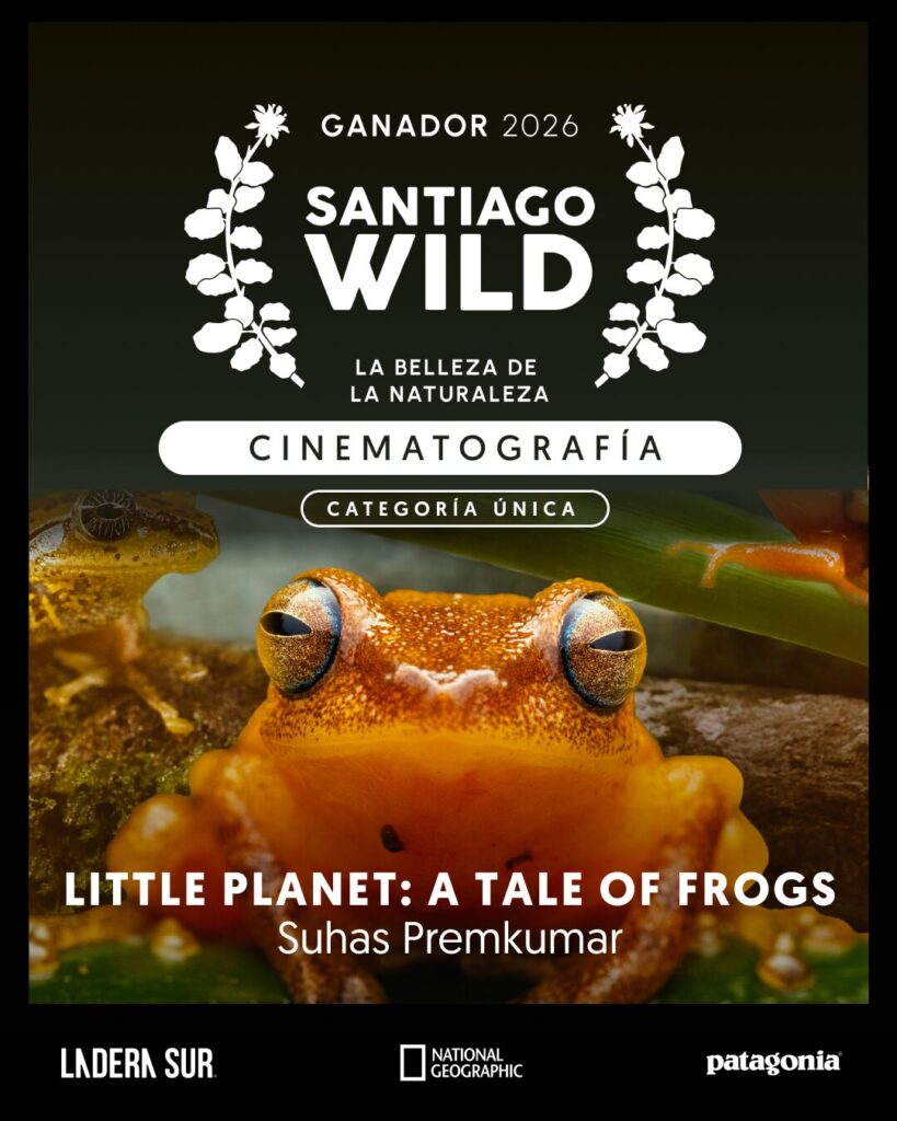 Ganador de Santiago Wild 2026.