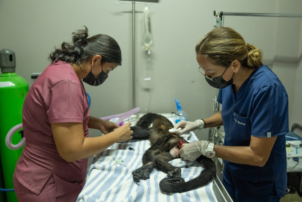 Foto de Lucas Zañartu