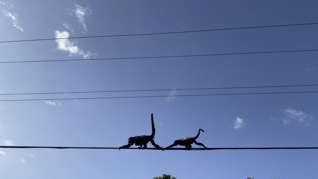 Foto de Lucas Zañartu