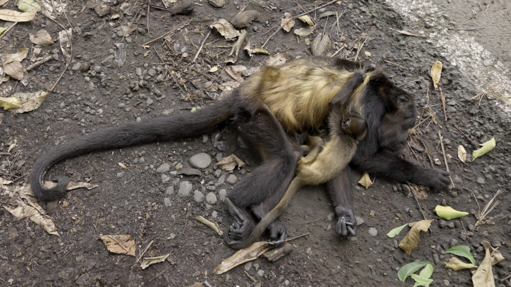Foto de Lucas Zañartu