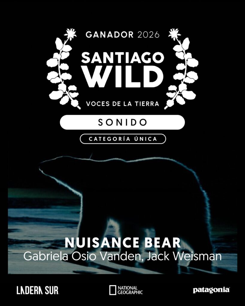 Ganador de Santiago Wild 2026.