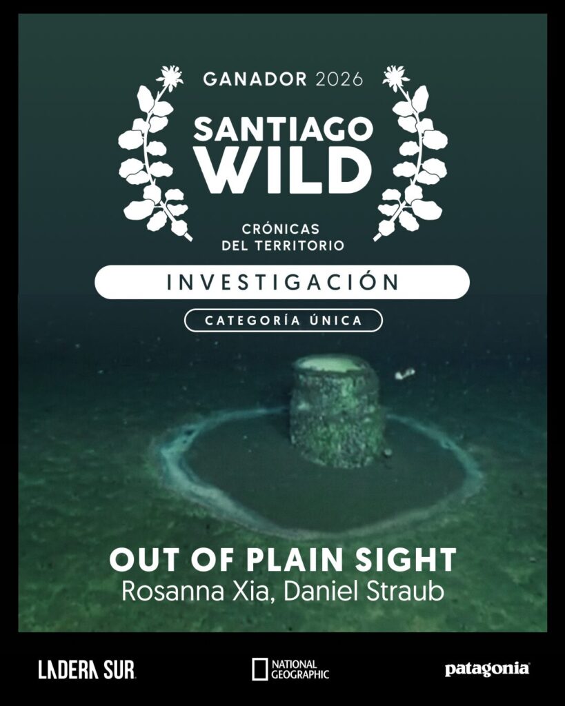 Ganador de Santiago Wild 2026.