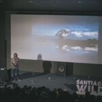 Santiago Wild 2026, Créditos: Juan Croxatto