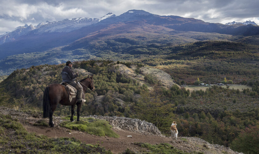 Ganadora del Concurso de Fotografía de Ladera Sur lanza nuevo libro patrimonial honrando la vida remota en la Patagonia