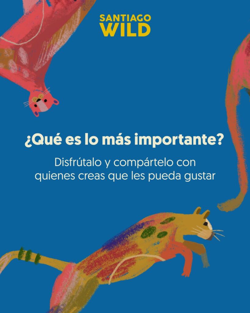 Preguntas frecuentes sobre Santiago Wild 2026.