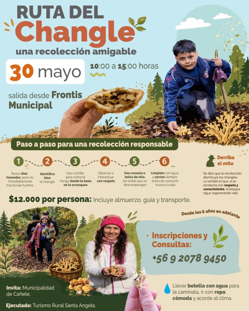 XIII Fiesta del Changle, foto Municipalidad de Cañete