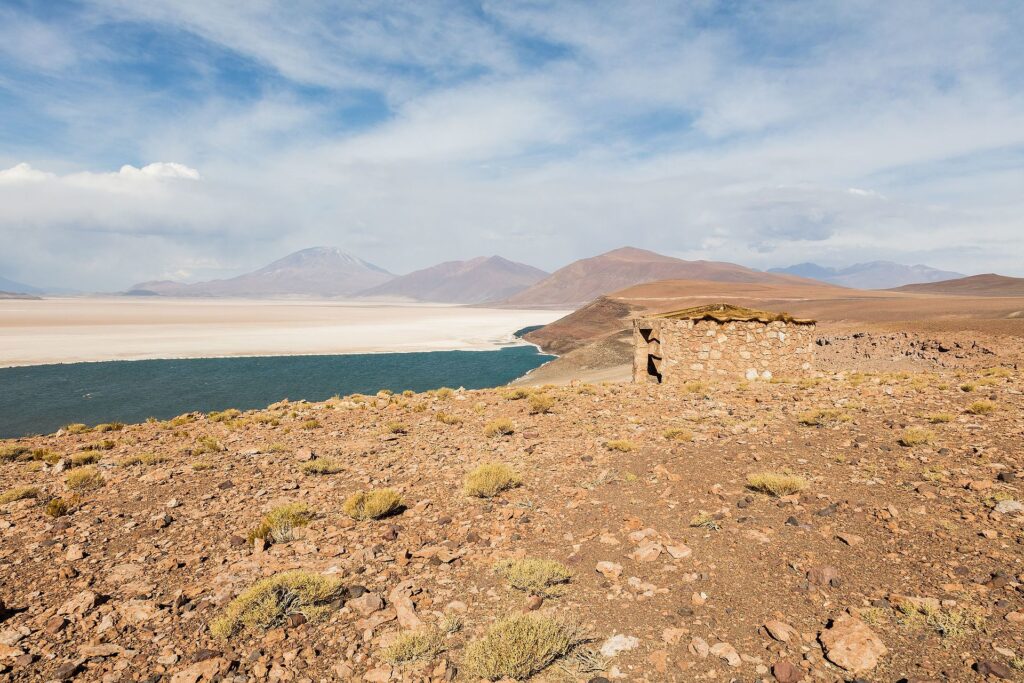 Salar de Carcote, Diego Delso, delso.photo, License CC BY-SA