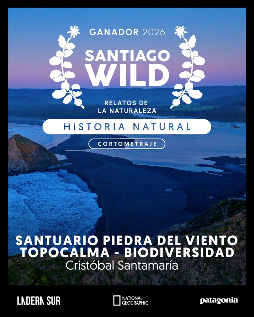 Ganador de Santiago Wild 2026.