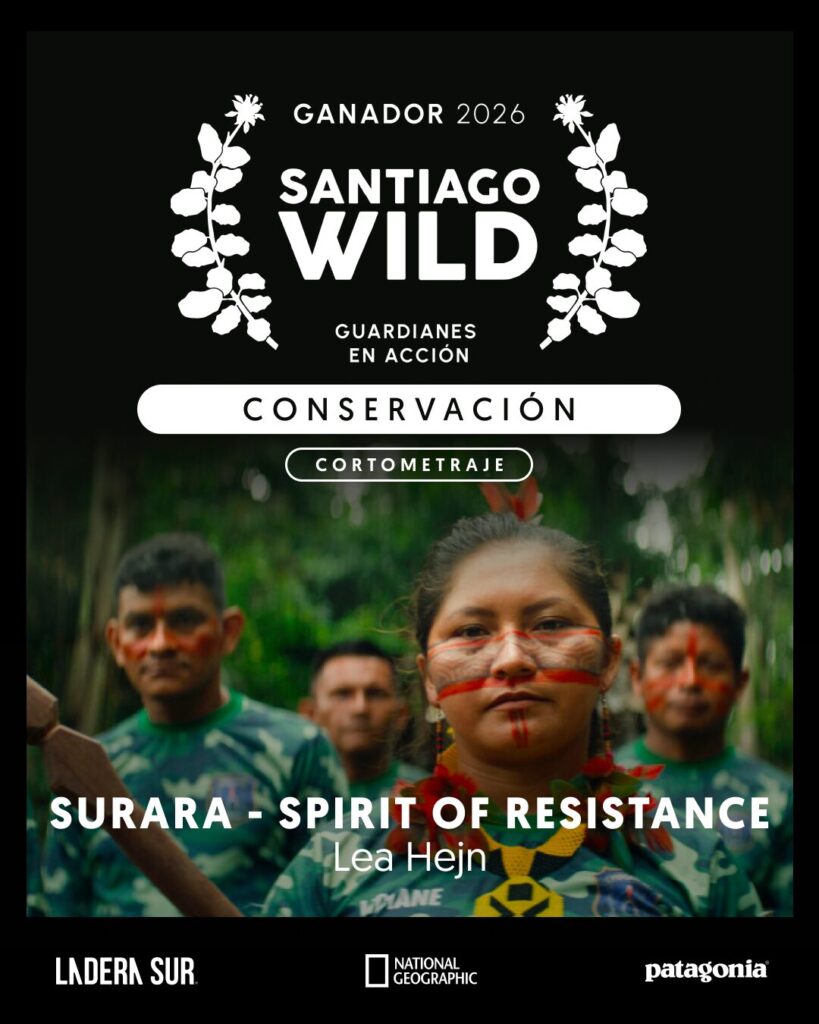 Ganador de Santiago Wild 2026.