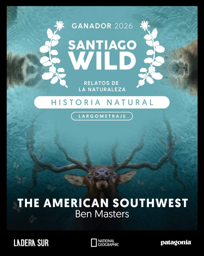 Ganador de Santiago Wild 2026.