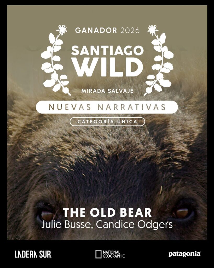 Ganador de Santiago Wild 2026.
