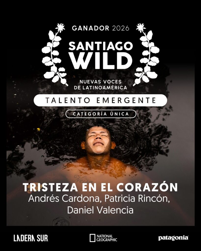 Ganador de Santiago Wild 2026.