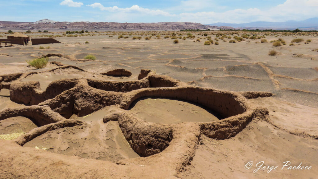 Aldea de Tulor sepultada aún bajo la tierra y arena del desierto. Créditos (CC-BY): Jorge Pacheco, vía Wikipedia.