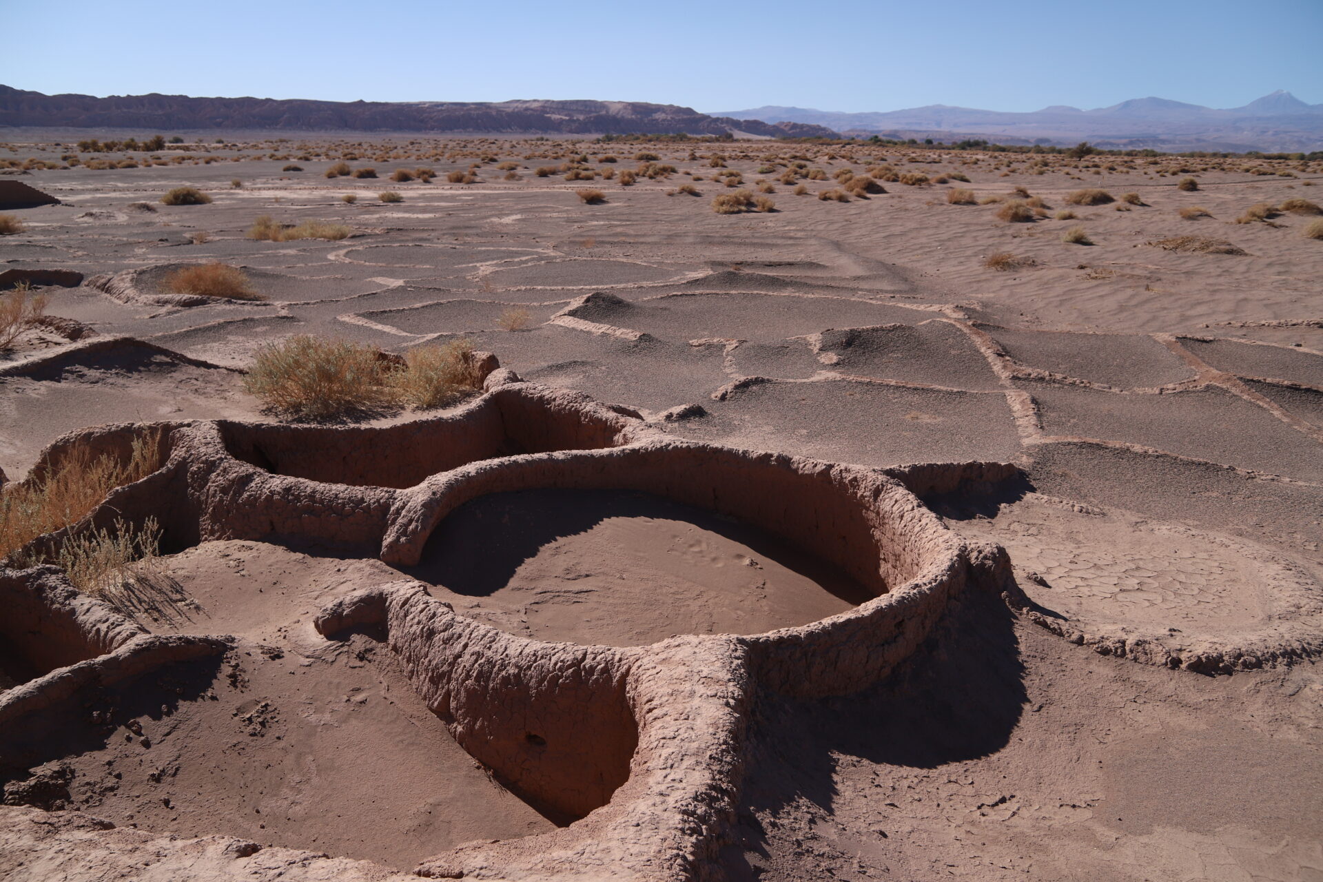 La historia de Tulor, esa aldea de la que seguro has escuchado, pero que estuvo oculta por 1.700 años en San Pedro de Atacama