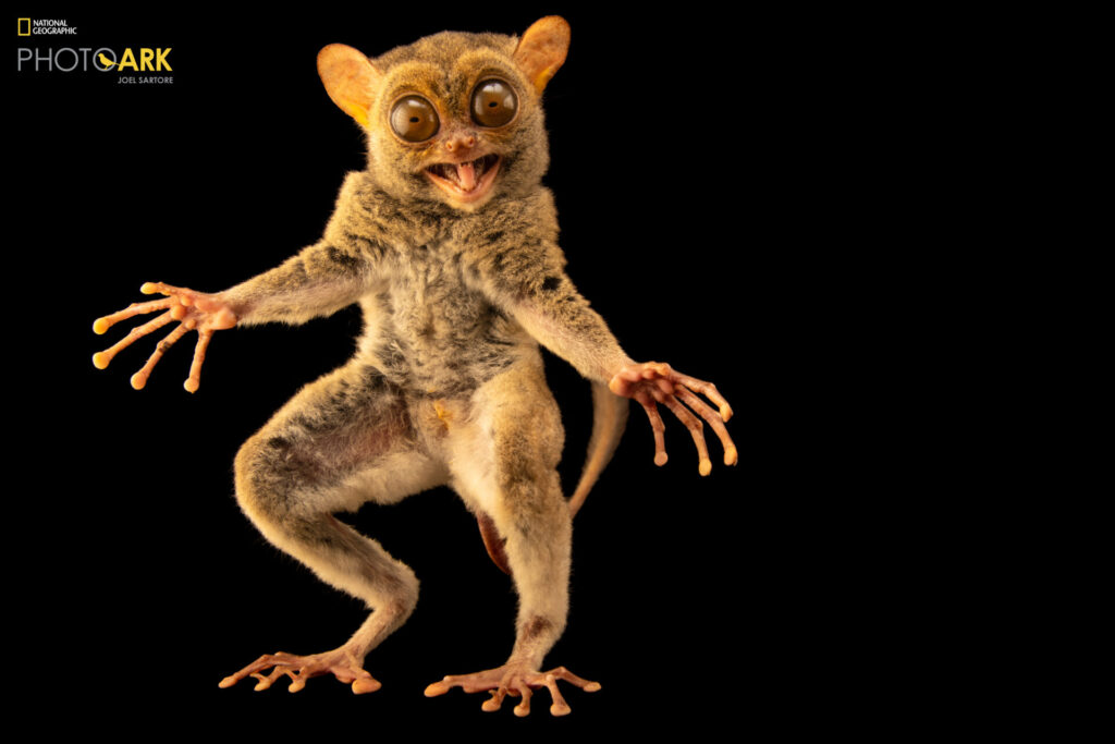 Museo National Geographic. Créditos: Joel Sartore