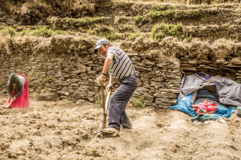 Seis comunidades quechuas de Cuyocuyo mantienen sistemas agrícolas ancestrales que hoy son reconocidos por su aporte a la conservación de la biodiversidad. Créditos: cortesía de WCS
