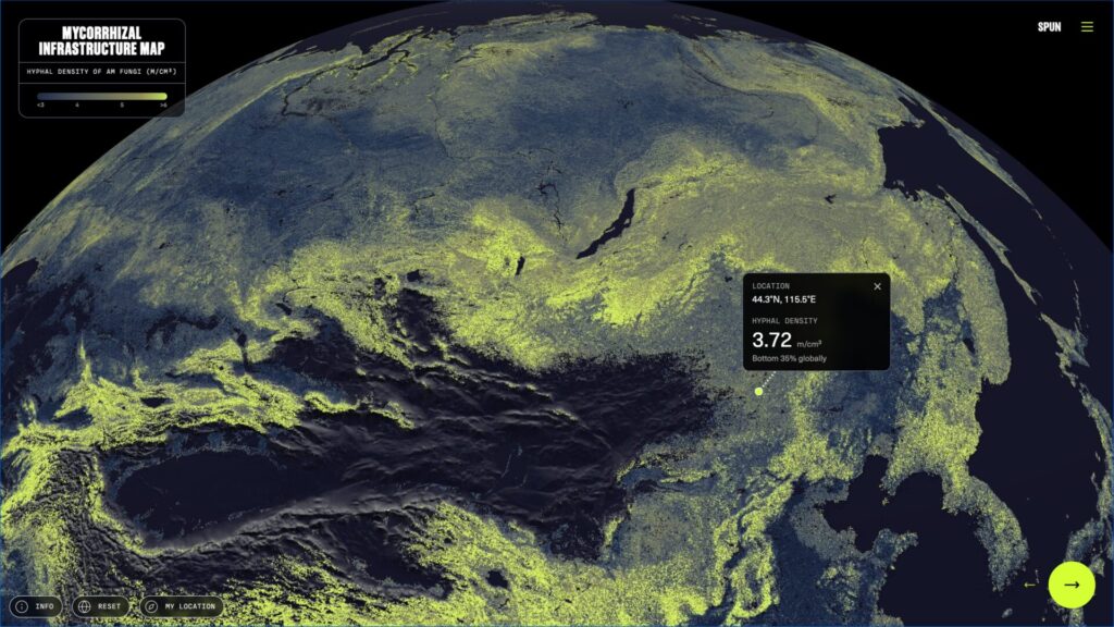 Científicos mapean por primera vez las redes de hongos del planeta. Créditos: ©Society for the Protection of Underground Networks (SPUN)