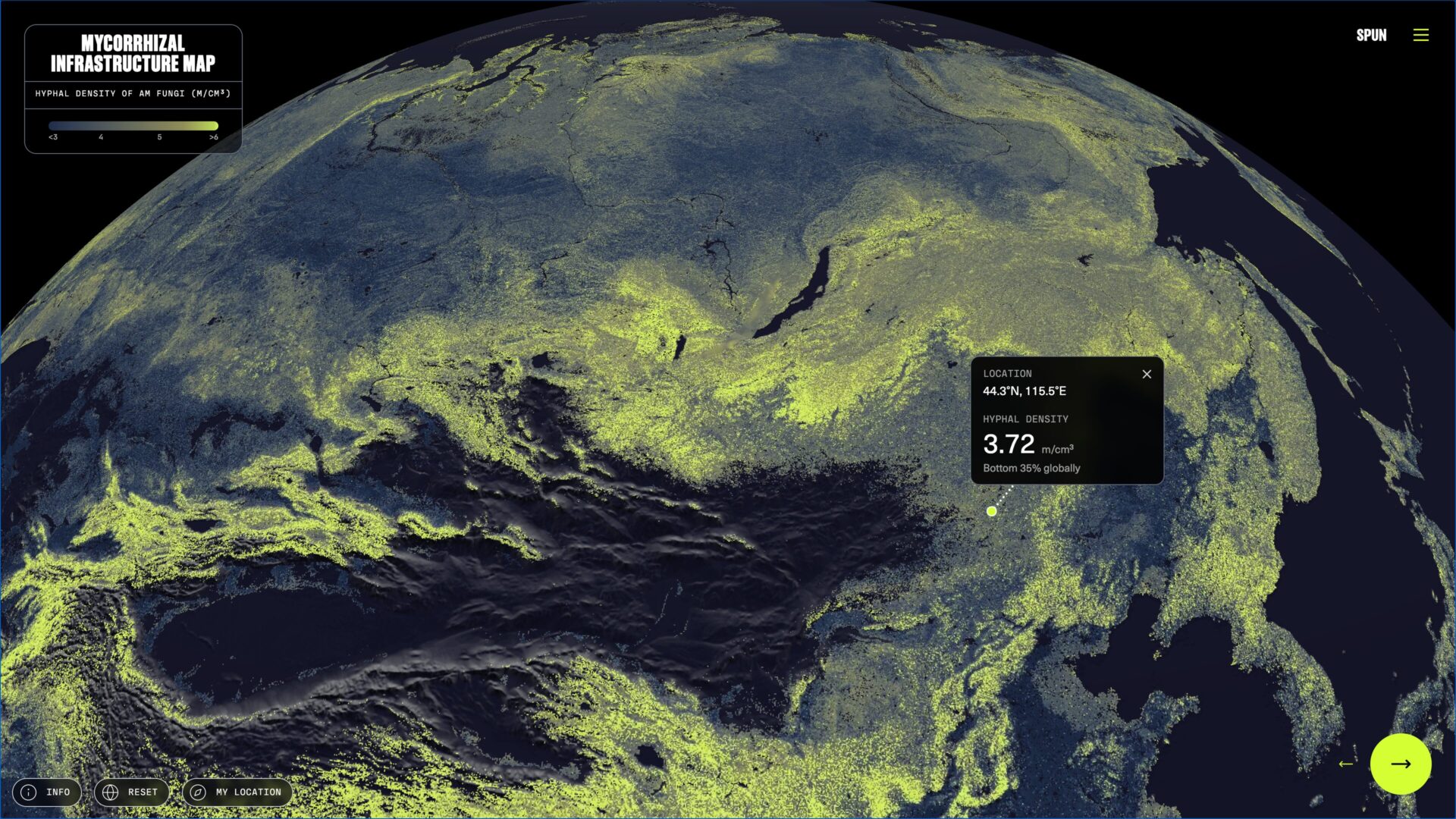 Científicos mapean por primera vez las redes de hongos del planeta: Abarcan mil millones de veces la distancia entre la Tierra y el Sol